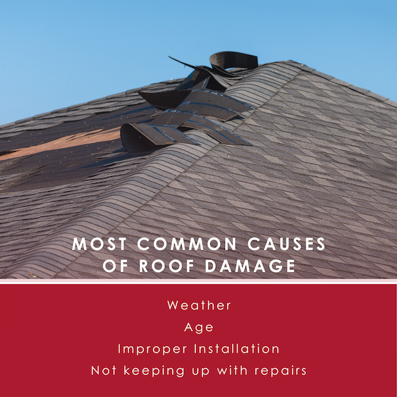 Common Causes of Roof Damage copy